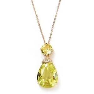 Park Lane Limon Necklace NWT